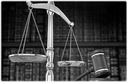 litigation Support services
